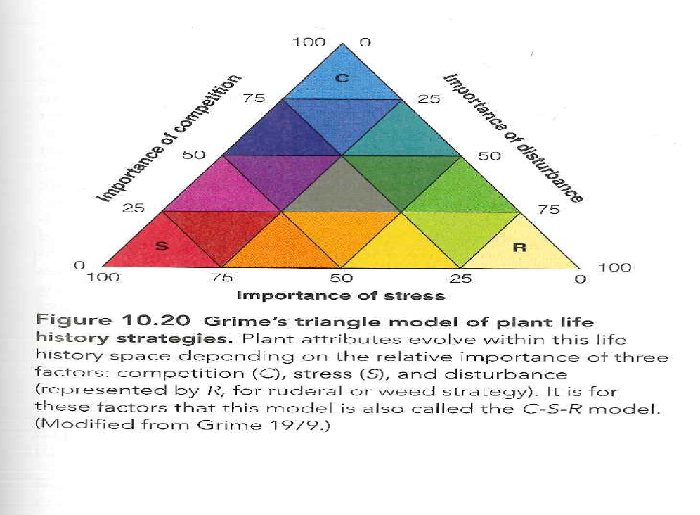 Where in Grime's triangle (see Figure 10.20, page 181) would one expect to find annual plants? Trees? Cacti? What characteristics of plants might one use to quantify these three axes? Reference Figure : 10.20   