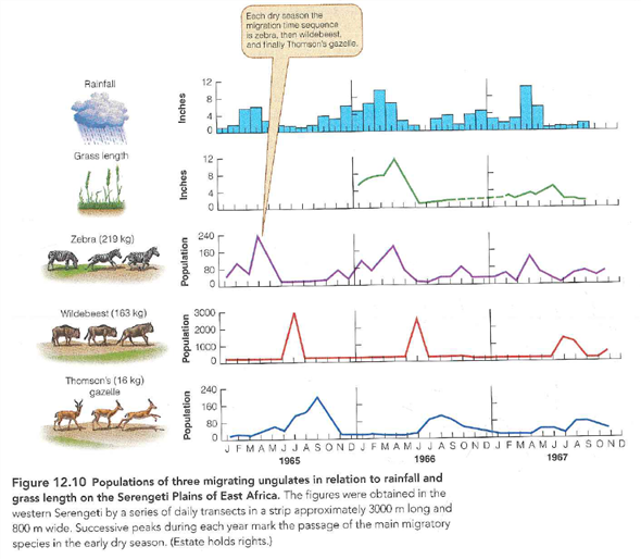 Large mammals in the Serengeti utilize grazing facilitation (Figure 12.10) but their populations change independently of one another (Figure 12.12). Suggest at least two hypotheses that might explain this discrepancy, and discuss what data would be needed to test these hypotheses. Reference Figure: 12.10     Reference Figure: 12.12   