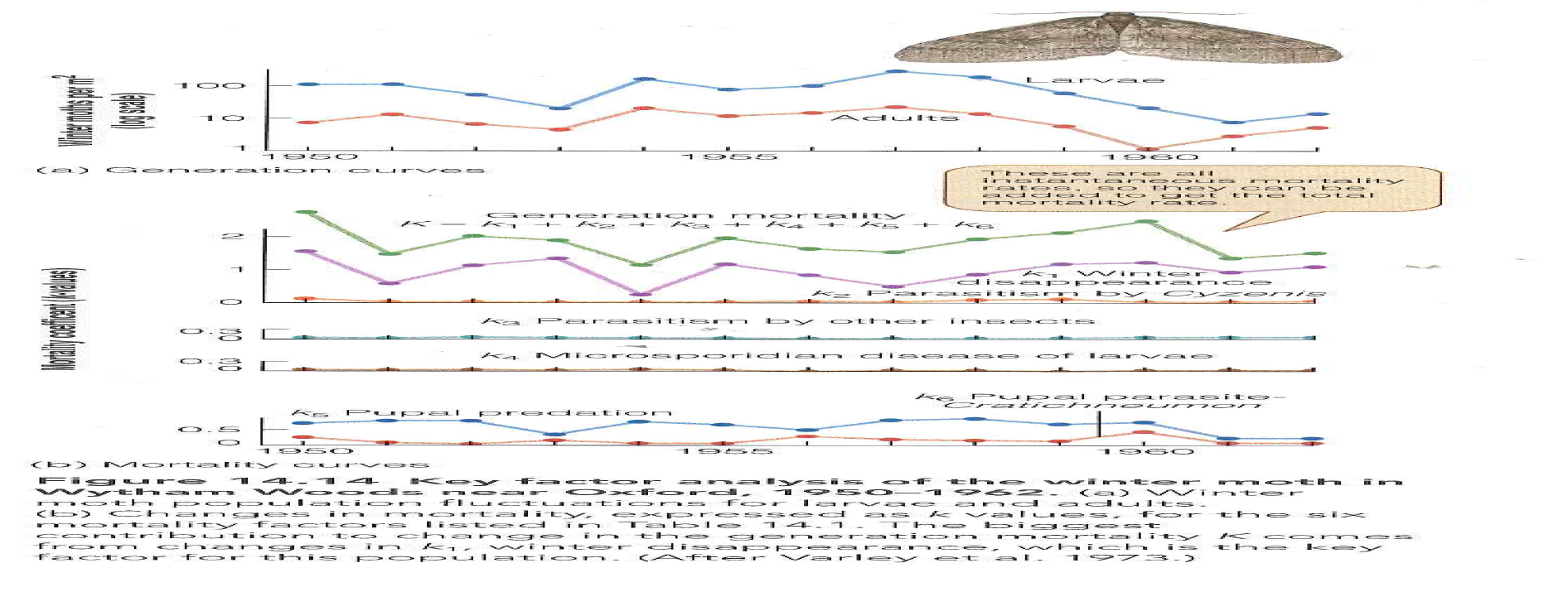 What general guidelines would you recommend as to how many generations should be analysed in order to complete a key factor analysis of a population? Would you expect that a new study of the key factors affecting winter moth populations (see Figure 14.14) would reach the same conclusions? Reference Figure: 14.14