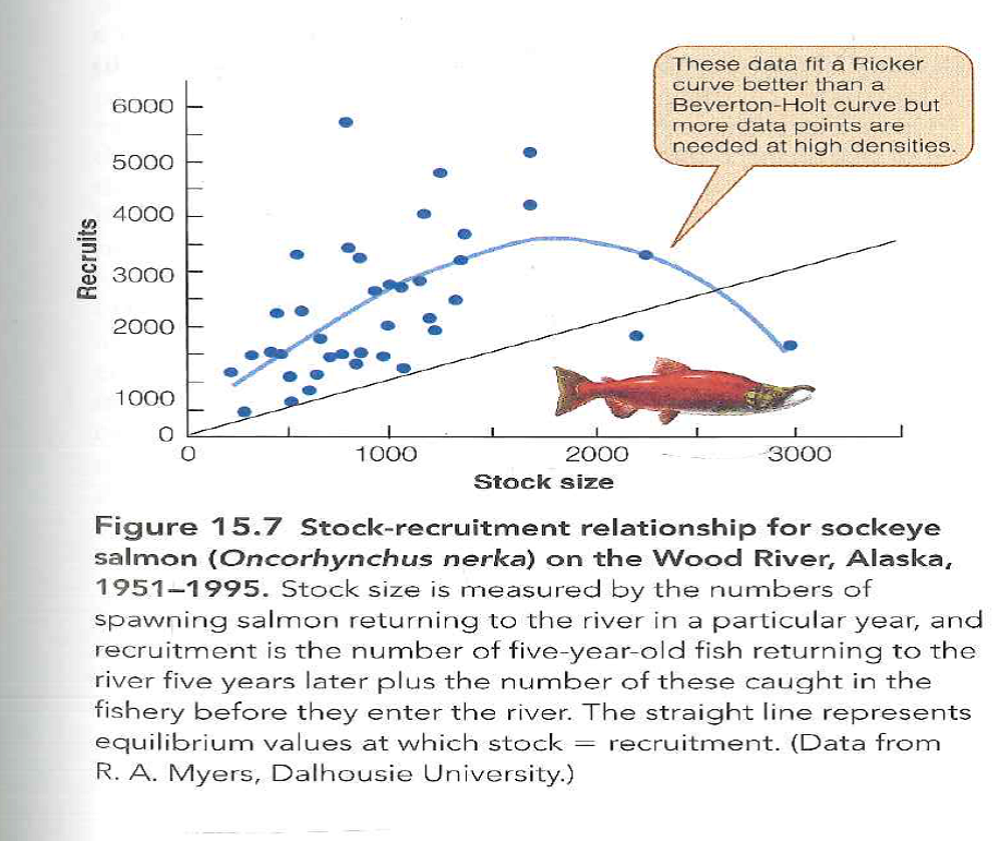 Suppose that in fact no relationship exists between t stock and recruitment in the sockeye salmon (see Figure 15.7). Discuss the implications of this with respect to the various theories of population control (see Chapter 14). Reference Figure: 15.7   