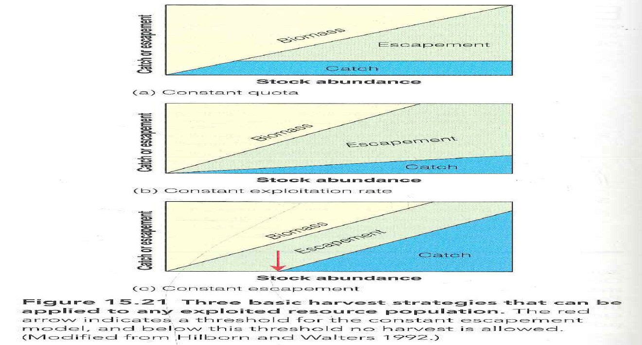 Discuss the circumstances under which the constant quota model shown in Figure 15.21 could be a risky strategy for a fishery. Reference Figure: 15.21   