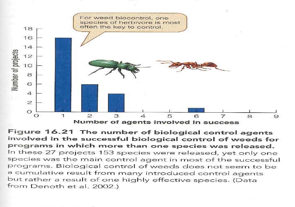 Figure 16.21 gives data to show that a majority of biological control successes are attributed to a single species even though several agents have been introduced for each program. Stiling and Cornelissen (2005) present an analysis that shows multiple-releases reduced pest abundance by 27% more than single releases. Discuss why these two sets of data appear to contradict one another. Reference Figure: 16.21