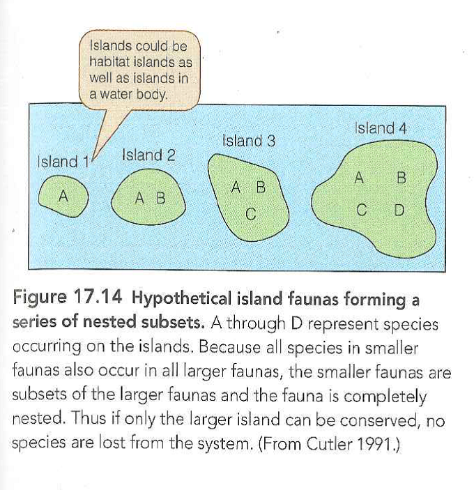 Discuss the assumptions underlying the nested subset model of patch occupancy (see Figure 17.14). Explain what ecological processes could produce holes in the data-matrix (seeTable 17.5), and what processes could produce outliers. Reference Figure: 17.14     Reference Table : 17.5   