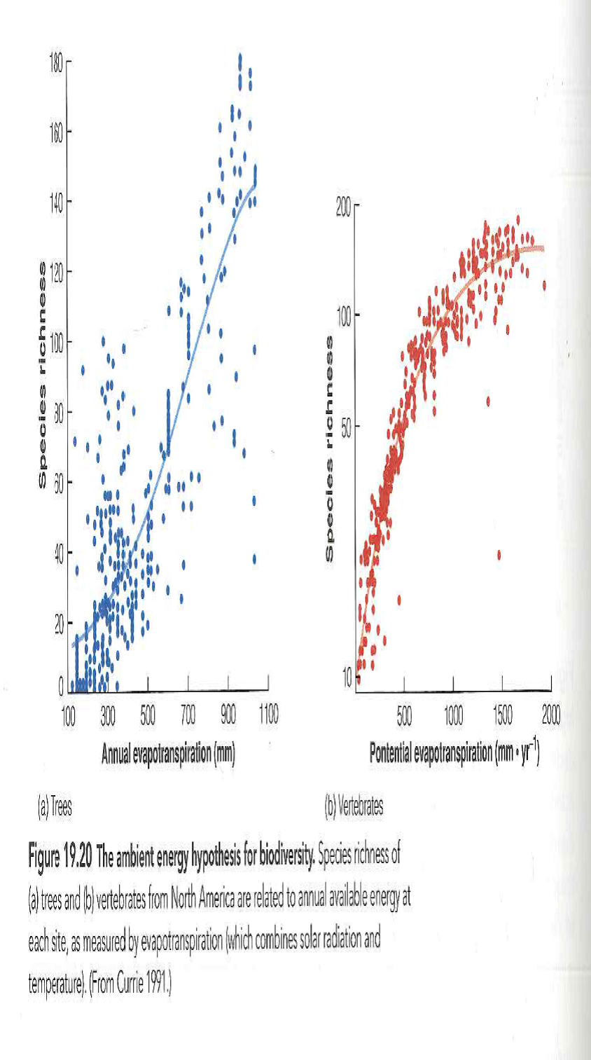 Figure 19.20 shows that, on a global scale, species richness increases smoothly with solar energy and temperature. Why should this occur? Why is the available energy not monopolized by a few super species ? Compare your ideas with those of Currie (1991, p. 46). Reference Figure: 19.20   
