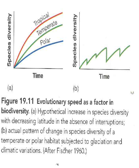 The evolutionary speed hypothesis has been tested with genetic marker data in only one group, birds (Bromham and CardillO₂003). They found no evidence in favor of a higher rate of speciation in tropical areas for birds. Discuss how this finding would change the interpretation of the evolutionary speed hypothesis (e.g., Figure 19.11) if similar results -au are found in many other taxonomic groups. Are these data sufficient to reject the evolutionary speed i hypothesis? Reference Figure: 19.11