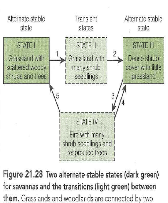 Analyse the semiarid woodland multiple stable state model of Figure 21.28 using the criteria for the existence of multiple stable states given by Connell and Sousa (1983). Would this example be acceptable to Connell and Sousa? Would the white-tailed deer example satisfy their criteria? Reference Figure: 21.28   