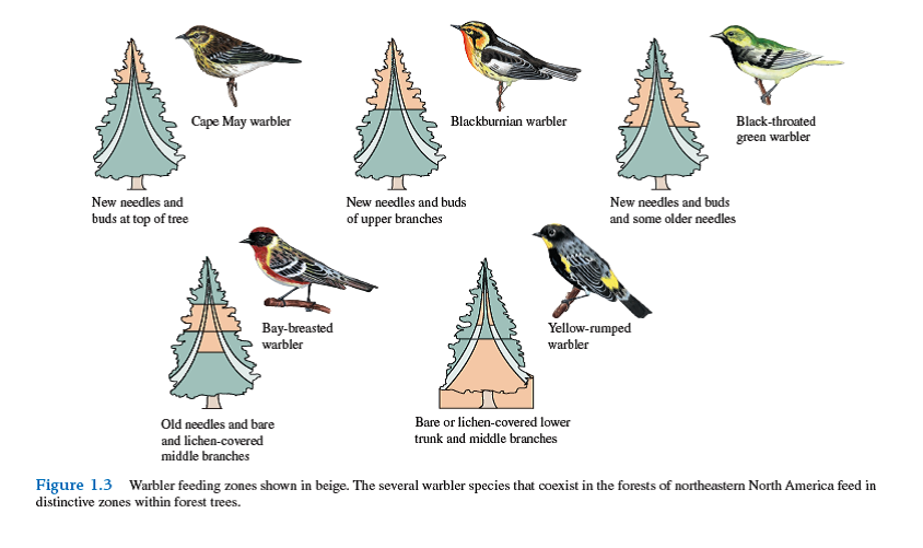 What could you do to verify that the distinct feeding zones used by the warblers studied by MacArthur (see fig. 1.3 ) are the result of ongoing competition between the different species of warblers How might you examine the role of competition in keeping some American redstarts out of the most productive feeding areas on their wintering grounds