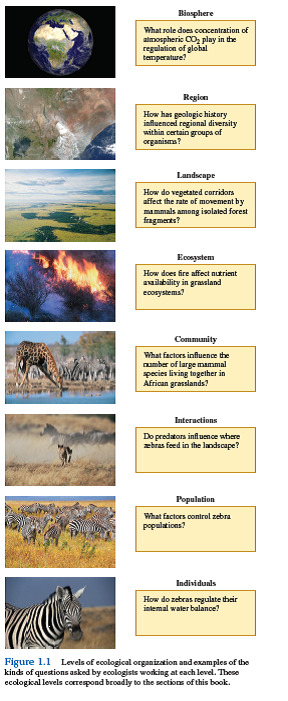 While an ecologist may focus on a particular level of ecological organization shown in figure 1.1 , might other levels of organization be relevant, for example, does an ecologist studying factors limiting numbers in a population of zebras need to consider the influences of interactions with other species or the influences of food on the survival of individuals