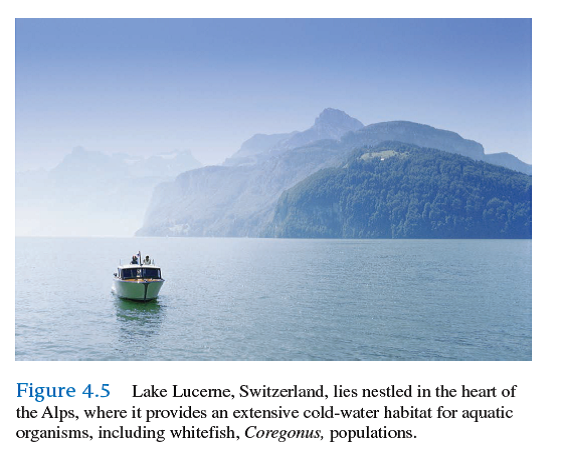 In chapter 2 we calculated the sample mean and in chapter 3 we determined the sample median. The mean and median are different ways of representing the middle, or typical, within a sample of a population. Another important question we can ask is, how much variation is there around the average This is important for several reasons. For example, two or more samples may have the same mean but have quite different amounts of variation among the observations within each sample. Knowing the variation within samples, as well as their means or medians, is critical to comparing them statistically (see Investigating the Evidence 17 and 18). Suppose you are studying a population of whitefish living in Lake Lucerne, Switzerland (see fig. 4.5 , p. 82) and, as part of the study, you need to estimate the variation in length of a small sample of young whitefish taken from the lake. Here are your measurements:         The simplest index of variation would be the range , which is the difference between the largest and the smallest observation. In this case the range would be: Range = 62 - 41 = 21 mm The range does not represent variation in samples well, since very different sets of observations can have the same range. A better representation of the variation in a sample is one that factors in all the observations relative to the sample mean. One such index that is most commonly used is called the sample variance. The variance is calculated as follows: First we calculate the sample mean as we did in chapter 2.     (For practice you could calculate this sample mean using the data given above.)  The variance is calculated by squaring the differences between the sample mean and each of the observations, adding them up to produce the sum of squares, and dividing by the sample size minus 1. Let's do this in steps. First let's calculate the sum of squares.         This, then, is the sample variance. However, notice that the units of the sample variance are square mm, not mm. Because the sample variance is expressed in squares of the original units, generally we take the square root of the variance to calculate a measure of variation called the sample standard deviation.      While it took a little effort to calculate it, the standard deviation, 6.2 mm, provides us with a standardized index of the variation in length of the fish used in your study. Fortunately, most electronic calculators make these calculations automatically, once the data are entered. The sample standard deviation along with the sample mean enable us to make statistical comparisons of samples. Can samples drawn from two different populations have approximately the same mean (e.g., body weight) yet have different variances Why