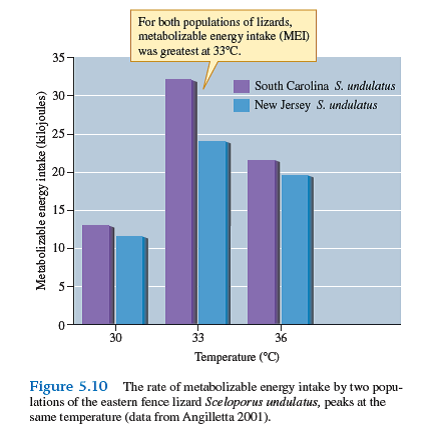 One of the most powerful ways to test a hypothesis is through an experiment. Experiments used by ecologists generally fall into one of two categories-field experiments and laboratory experiments. Field and laboratory experiments generally provide complementary information or evidence, and differ somewhat in their design. Here we discuss the design of laboratory experiments. In a laboratory experiment, the researcher attempts to keep all factors relatively constant except one. The one factor that is not kept constant is the one of interest to the experimenter and it is the one that the experimenter varies across experimental conditions. Let's draw an example of a laboratory experiment discussed in this chapter. Based upon published studies, Michael Angilletta (2001) concluded that geographically separated populations of the eastern fence lizard, Sceloporus undulatus, may differ physiologically or behaviorally. Angilletta designed a laboratory experiment to test the hypothesis that populations of S. undulatus from regions with significantly different climates differ in how temperature affects their rates of metabolizable energy intake. The results of that experiment are summarized by figure 5.10. What we want to consider here is the design of the experiment that produced those results. What factors do you think Angilletta may have attempted to control in this experiment First, he used similar numbers of lizards from the two populations. He tested 20 lizards from both populations at 33°C, 13 from New Jersey at 30 8 and 36° C, and 14 from South Carolina at 30° and 36° C. A second factor that Angilletta controlled was lizard size. Lizards from both populations used in the experiments had an average body mass of approximately 5.4 g. Since males and females may differ physiologically, Angilletta included approximately equal numbers of males and females in his experiments. He also was careful to expose all the lizards to the same quality of light and to the same numbers of hours of light and darkness and he maintained them in the same kinds of experimental enclosures. Angilletta also fed all the lizards in his experiment the same type of food: live crickets. The list could go on but these are the major factors controlled in this experiment.      Now, what factors did Angilletta vary in that experiment For each study population, New Jersey or South Carolina, he varied a single factor: temperature. In the experiment, Angilletta maintained lizards from New Jersey and South Carolina at three temperatures: 30° , 33° , and 36° C and estimated their rates of metabolizable energy intake at these three temperatures. Angilletta's experiment revealed that lizards from both populations have a maximum metabolizable energy intake at 33° C. This result suggests, contrary to the study's hypothesis, that the optimum temperature for feeding does not differ for the two populations. However, the experiment also showed that at 33° C S. undulatus from South Carolina have a higher metabolizable energy intake compared to lizards from New Jersey. This result provides evidence of the geographic differences that Angilletta thought might exist across the range of S. undulatus. The power of this experiment to reveal the influence of temperature on lizard performance resulted from the ability of the researcher to control all significant factors but the one of interest. In this case the main factor of interest was temperature.  Why do ecologists generally supplement information resulting from laboratory experiments with field observations or experiments