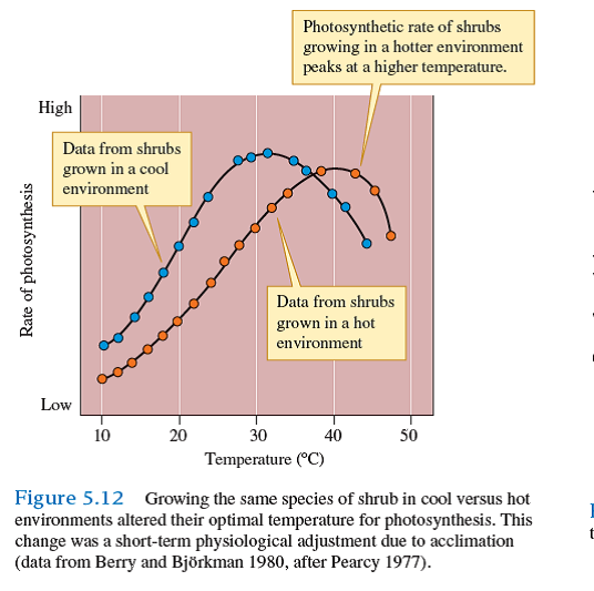How can we be sure that the two distinctive responses to temperature shown by Atriplex lentiformis were due to acclimation and not the result of genetic differences (see fig. 5.12 )    