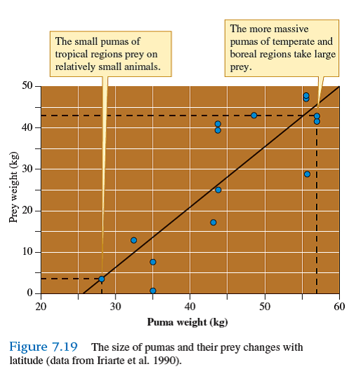 Ecologists are often interested in the relationship between two variables, which we might call X and Y. For example, in chapter 7 we reviewed a study of how the size of pumas, variable X, is related to the size of prey that they take, variable Y (see fig. 7.19 ). The scatter plot shown in figure 7.19 is one of an infinite number of possible relationships between two variables.     Let's consider just three of the possible relationships, which are shown in figure 1. The most basic scatter plot is one in which there is no relationship between X and Y. This situation is represented by figure 1 a , where there is no correlation between values of X and values of Y. As a result, the scatter plot forms a more or less circular pattern. In contrast the pattern     shown in figure 1 b , which represents the situation where as X increases, Y decreases, follows an approximately linear pattern that slopes downward to the right. The relationship between rainfall and green woodhoopoe reproduction we will examine in chapter 8 shows this pattern (see fig. 8.19). This type of relationship between X and Y is called a negative correlation. The opposite pattern, shown by figure 1 c , is called a positive correlation. When two variables are positively correlated, increases in X are associated with increases in Y. For instance, increased body size in populations of pumas are correlated with increased size of the prey they eat (see fig. 7.19 ).      Suppose that during a field study you find a positive correlation between some variable X and another variable Y- for example, between higher concentrations of the stable isotope 13 C in the tissues of migrating redstarts and later arrival dates on their northern breeding grounds (see chapter 1, p. 5). Does this positive correlation demonstrate that an increase in X directly causes an increase in Y