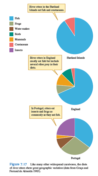 The rivers of central Portugal have been invaded, and densely populated by the Louisiana crayfish Procambarus clarki, which looks like a freshwater lobster about 12 to 14 cm long. The otters of these rivers, which were studied by Graca and Ferrand de Almeida (1983), can easily catch and subdue these crayfish. Using the model for prey choice: explain why the diets of the otters of central Portugal would shift from the highly diverse menu shown in figure 7.17 , which included fish, frogs, water snakes, birds, and insects, to a diet dominated by crayfish. For the crayfish, assume low handling time, very high encounter rates, and high energy content.