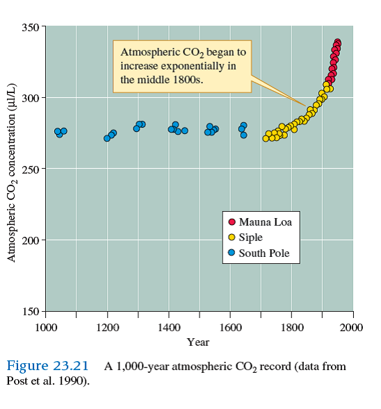 Why does the ongoing increase in atmospheric CO₂ (see chapter 23, fig. 23.21) not give guaranteed advantage to C 3 plants over C 4 plants    