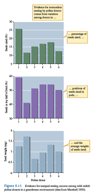 What would you expect to see in figure 8.15 if performance were equal across pollen donors    