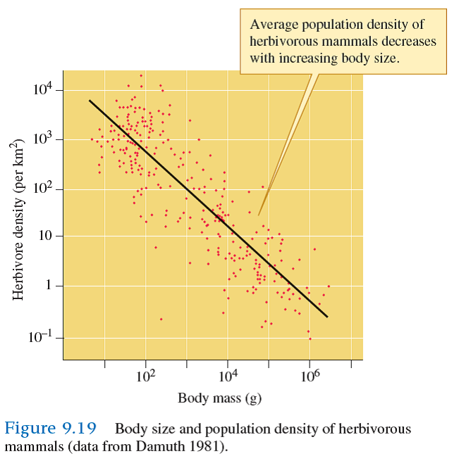 Use the empirical relationship between size and population density observed in the studies by Damuth (1981) (see fig. 9.19 ) and Peters and Wassenberg (1983) (see fig. 9.20 ) to answer the following: For a given body size, which generally has the higher population density, birds or mammals On average, which lives at lower population densities, terrestrial or aquatic invertebrates Does an herbivorous mammal twice the size of another have on average one-half the population density of the smaller species Less than half More than half    