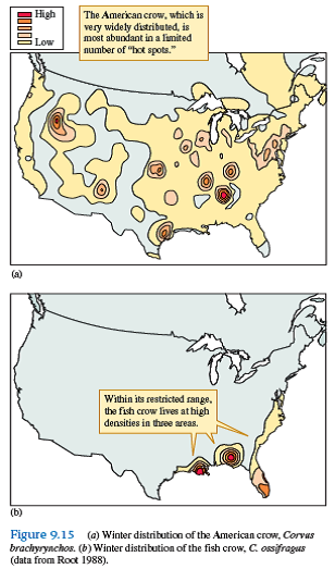 What factors might be responsible for the aggregation of American crows in winter (see fig. 9.15 )