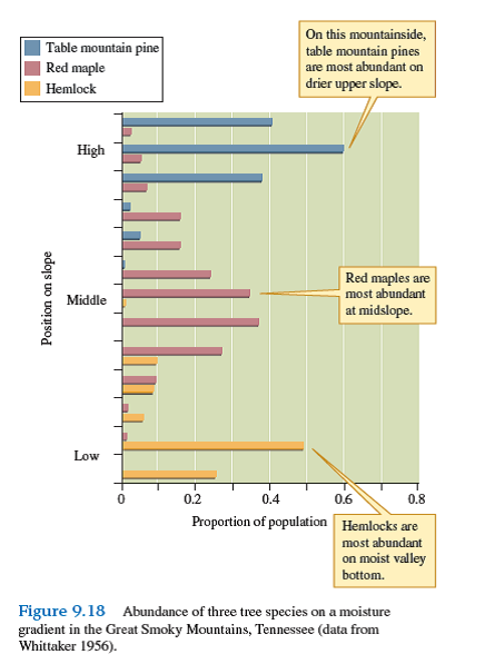 What does the position of pines along moisture gradients in both the Santa Catalina Mountains of Arizona (see fig. 9.17 ) and the Great Smoky Mountains of Tennessee (see fig. 9.18 ) suggest about pine water relations        