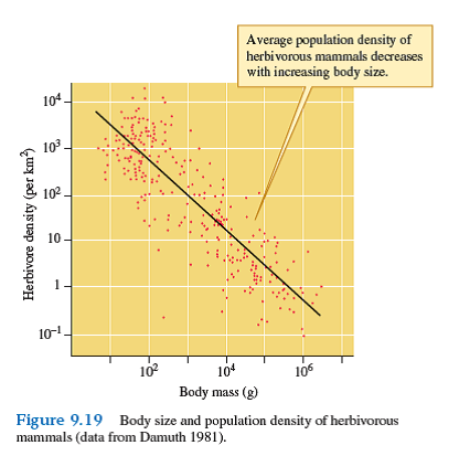 What are some advantages of Damuth's strict focus on herbivorous mammals in his analysis of the relationship between body size and population density (see fig. 9.19 )