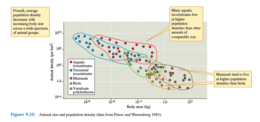 How might energy and nutrient relations explain the lower population densities of birds compared to comparable-sized mammals (see fig. 9.20 )    