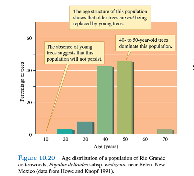 The last major natural reproduction by Rio Grande cottonwoods, which produced the large number of 40- and 50-year-old trees documented by Howe and Knopf (1991), occurred before the last major dam was built on the river. Is there any evidence for reproductive failure before that dam was built (see fig. 10.20 )