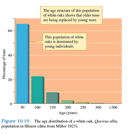 Of the three populations pictured in figures 10.19 , 10.20 , and 10.21 , which is most likely to have a stable age distribution            