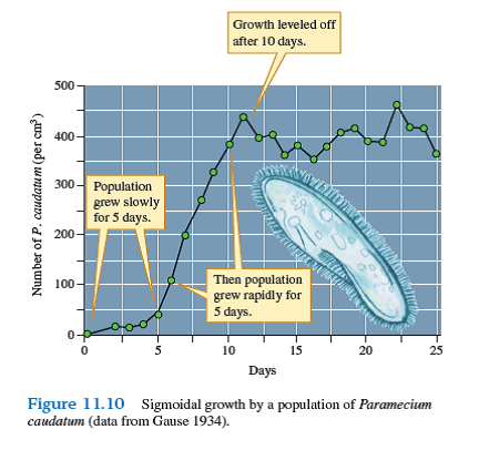 How could you test the hypothesis that carrying capacity for the Paramecium population shown in figure 11.10 was set by the availability of their main food-yeast cells    