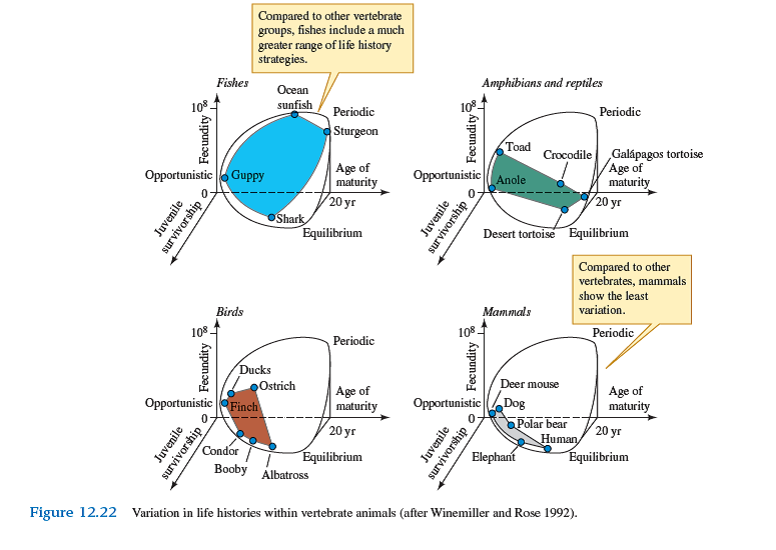 Apply Winemiller's model to plants. If you were to construct a strictly quantitative classification of plant life histories using Winemiller and Rose's approach, what information would you need about the plants included in your analysis How many plant species would you need to have an idea of how variation in their life histories compares with those of animals (e.g., as in fig. 12.22 ) Try to reconcile Grime's plant classification with the scheme offered by Winemiller and Rose. Where are they similar How are they different