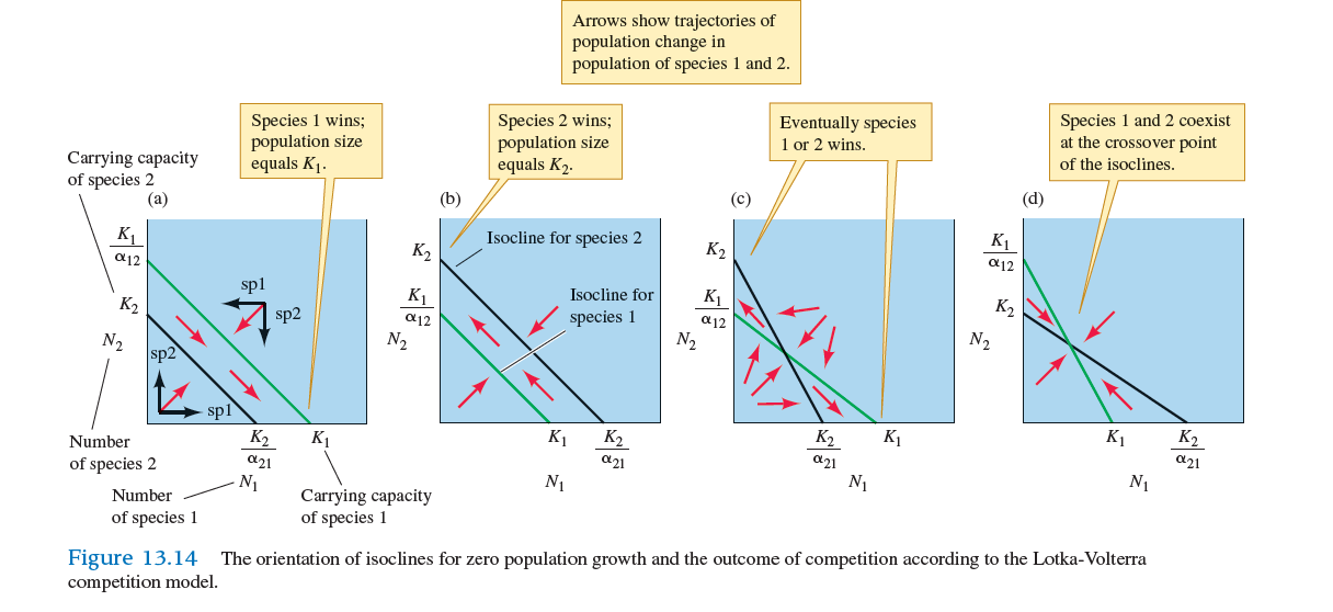 Draw the four possible ways in which Lotka's (1932a) isoclines of zero population growth (see fig. 13.14 ) can be oriented with respect to each other. Label the axes and the points where the isoclines intersect the horizontal and vertical axes. Explain how each situation represented by the graphs leads to either competitive exclusion of one species or the other or stable or unstable coexistence.   