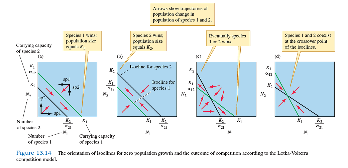 Is there any way that predators could alter the outcome of competition as shown in figure 13.14 a , where species 1 excludes species 2, and in figure 13.14 b , where species 2 excludes species 1