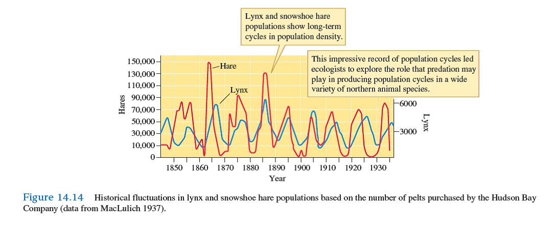 When the coupled cycling of lynx and snowshoe hare populations (see fig. 14.14 ) was first described, many concluded that lynx control snowshoe hare populations. Why are lynx not the primary factor controlling snowshoe hare populations even though their population cycles are highly correlated