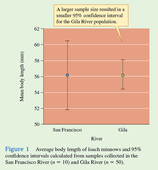 In chapter 15 we reviewed how to calculate confidence intervals for the true population mean as:     Here, we will use the confidence intervals calculated from samples of two populations to create a visual comparison of the populations. Suppose you are studying the recovery of the food web of a mountain stream from the effects of a flood. Part of your study involves estimating the biomass of each of the consumers in the food web. One of the species you are studying is Neothremma alicia, a small species of caddisfly, an insect in the order Trichoptera, that spends its larval stage grazing on diatoms living on the tops of stones in swift mountain streams. In your study site there are two forks in a stream, one that flooded 2 months before you took your sample, and one that did not flood. Otherwise, the two forks of the stream are similar. The following are the dry weights (milligrams) of N. alicia that you collected in 0.1 m 2 quadrats in each study stream:     Now using our degrees of freedom ( n - 1 = 8) and a level of confidence of 0.95, we find that our critical value of Student's t is 2.31. Using this t value, we can calculate a confidence interval for each population:         These sample means and confidence intervals are plotted in figure 1. Recall from chapter 15 (p. 345) that the true population means for each of the study populations has a 95% chance of falling somewhere within the 95% confidence intervals. Now notice that the 95% confidence intervals for the two samples do not overlap. This indicates that there is less than a 5% chance that the two samples were drawn from populations of N. alicia with the same mean biomass per unit area. In other words, we have a basis for saying that there is a statistically significant difference in biomass of N. alicia in the two study streams. In chapter 18, we will take a somewhat different approach to making a statistical comparison of these two populations (p. 406).      Why do larger sample sizes improve the ability of a researcher to detect statistical differences between populations