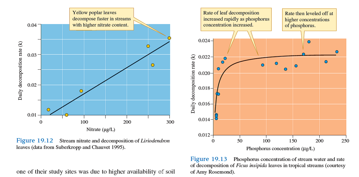 How are the results of Suberkropp and Chauvet (see fig. 19.12 ) and Rosemond (see fig. 19.13 ) similar How do their results differ    