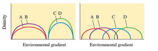 Ecological succession has been compared to the development of an organism and the climax community to a kind of superorganism. F. E. Clements (1916, 1936) was the best-known proponent of this idea, and H. A. Gleason (1926, 1939), the best-known early opponent of the idea of a community as a kind of superorganism. Gleason proposed that species are distributed independently of each other and that most overlaps in distributions are the result of coincidence, not mutual interdependence. Most modern ecologists hold a view more similar to that of Gleason. Which of the following graphs showing hypothetical distributions of species along an environmental gradient supports the superorganismic view of communities How does the other graph support the individualistic view of species held by Gleason (A, B, C, and D represent the distributions of species along an environmental gradient.)    