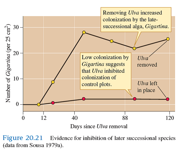 Suppose Gigartina had colonized the plots where Sousa had removed Ulva and where he had left Ulva in place at the same rates (see fig. 20.21 ). This result would be consistent with which successional model