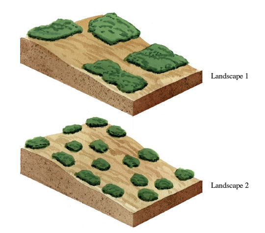 The green areas represent forest fragments surrounded by agriculture. Landscapes 1 and 2 contain the same total forest area. Which landscape, 1 or 2, will contain more forest interior species Explain.