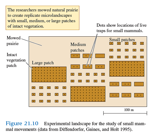 Analyses such as Milne's comparison (1993) of bald eagles and barnacles demonstrate that organisms of different sizes interact with the environment at very different spatial scales. With this in mind consider the experiments of Diffendorfer and colleagues (1995) on the influence of habitat fragmentation on movement patterns of small mammals. Think about the size of their experimental study area (see fig. 21.10 ). How might a manipulation of this size have affected the movements of prairie birds How would their manipulation have affected the movements of ground-dwelling beetles