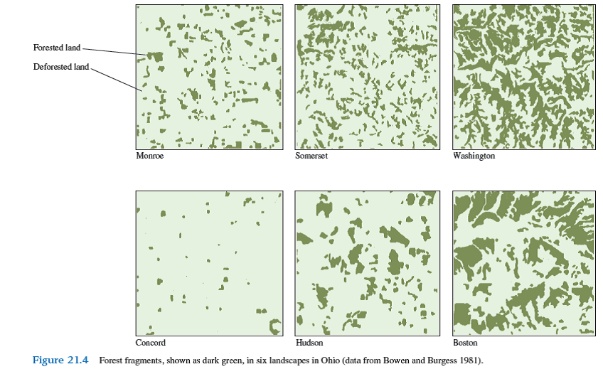 The populations of many forest bird species in eastern North America have declined following deforestation and fragmentation of forest habitat (see fig. 21.4 ), whereas many birds associated with open grassland habitats have thrived. From a landscape perspective, how could forest succession (chapter 20, pp. 435-439) change this situation