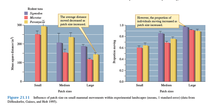 What do the patterns shown in figure 21.11 suggest about the relative impact of fragmentation of prairie habitat on populations of Sigmodon, Microtus, and Peromyscus    