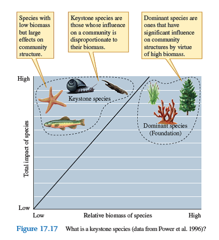 Can a dominant species of tree in a forest or coral on a coral reef (see fig. 17.17, p. 386) be an ecosystem engineer
