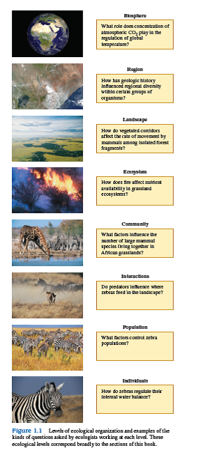 Faced with the complexity of nature, ecologists have divided the field of ecology into subdisciplines, each of which focuses on one of the levels of organization pictured in figure 1.1. What is the advantage of developing such subdisciplines within ecology    