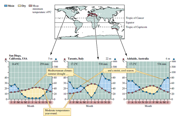 Biologists have observed much more similarity in species composition among boreal forests and among areas of tundra in Eurasia and North America than among tropical rain forests or among Mediterranean woodlands around the globe. Can you offer an explanation of this contrast based on the global distributions of these biomes shown in figures 2.10, 2.22, 2.31, and 2.34      Figure 2.10 Tropical rain forest geography and climate.     Figure 2.22 Mediterranean woodland and shrubland geography and climate.     Figure 2.31 Boreal forest geography and climate.     Figure 2.34 Tundra geography and climate.