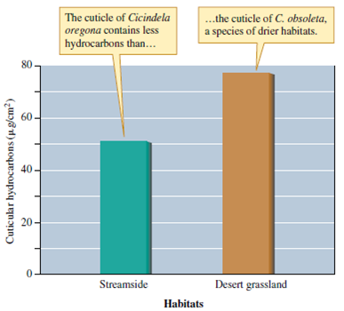 The tiger beetle Cicindela oregona (see figs. 6.15 and 6.16) has a distribution that extends from Arizona through the temperate rain forests of Alaska. Why should the amounts of cuticular hydrocarbons vary geographically among populations of C. oregona      Figure 6.15 A tiger beetle species from a moist habitat lost water at a higher rate than one from a dry habitat (data from Hadley and Schultz 1987).     Figure 6.16 The cuticles of tiger beetles from dry habitats tend to contain a higher concentration of waterproofing hydrocarbons compared to those of tiger beetles from moist habitats (data from Hadley and Schultz 1987).