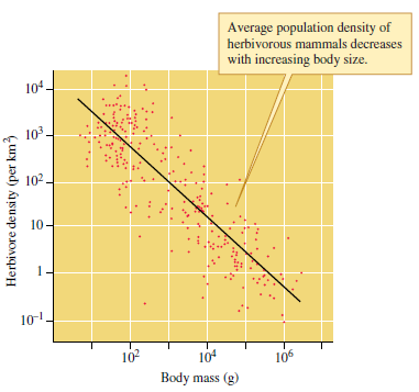 Use the empirical relationship between size and population density observed in the studies by Damuth (1981) (see fig. 9.19) and Peters and Wassenberg (1983) (see fig. 9.20) to answer the following: For a given body size, which generally has the higher population density, birds or mammals On average, which lives at lower population densities, terrestrial or aquatic invertebrates Does an herbivorous mammal twice the size of another have on average one-half the population density of the smaller species Less than half More than half   Figure 9.19 Body size and population density of herbivorous mammals (data from Damuth 1981).   Figure 9.20 Animal size and population density (data from Peters and Wassenberg 1983).<div style=padding-top: 35px> 