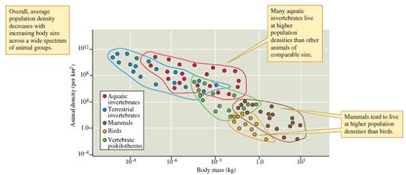 How might energy and nutrient relations explain the lower population densities of birds compared to comparable-sized mammals (see fig. 9.20)   Figure 9.20 Animal size and population density (data from Peters and Wassenberg 1983).<div style=padding-top: 35px> 