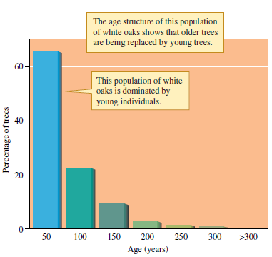 Of the three populations pictured in figures 10.19, 10.20, and 10.21, which is most likely to have a stable age distribution   Figure 10.19 The age distribution of a white oak, Quercus alba, population in Illinois (data from Miller 1923).   Figure 10.20 Age distribution of a population of Rio Grande cottonwoods, Populus deltoides subsp. wislizenii, near Belen, New Mexico (data from Howe and Knopf 1991).   Figure 10.21 Age distribution of a population of large cactus finches, Geospiza conirostris, on the island of Genovesa in the Galápagos Islands during 1983 ( a ) and 1987 ( b ) (data from Grant and Grant 1989).<div style=padding-top: 35px> 