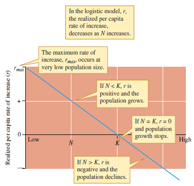Interpret the pattern of population growth shown by figure 11.11 in terms of the information given in figure 11.14, and discuss the relationship between population size and r (realized per capita rate of increase).     Figure 11.11 Settlement by the barnacle Balanus balanoides in the intertidal zone (data from Connell 1961a).     Figure 11.14 The relationship between population size, N , and realized per capita rate of increase, r , in the logistic model of population growth.