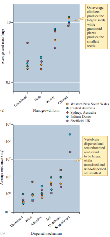 Using what you know about the trade-off between seed number and seed size (e.g., fig. 12.7) and patterns of variation among plants, predict the relative number of seeds produced by the various plant growth forms and dispersal strategies listed on figure 12.8   Figure 12.7 Relationship between seed mass and seed number (data from Stevens 1932).   Figure 12.8 Plant growth form and dispersal mechanism and seed mass (data from Westoby, Leishman, and Lord 1996).<div style=padding-top: 35px> 