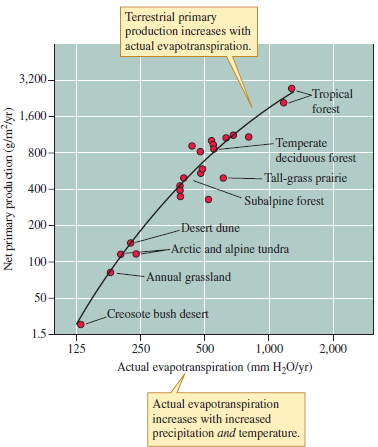 Field experiments demonstrate that variation in soil fertility influences terrestrial primary production. However, we cannot say that nutrients exert primary control. That role is still attributed to temperature and moisture. Why do ecologists still attribute the main control of terrestrial primary production to temperature and moisture Consider the difference in primary production between arctic tundra and tropical forest (see fig. 18.2) and the extent to which nutrient additions (Shaver and ChapiN₁986) changed primary production in tundra.     Figure 18.2 Relationship between actual evapotranspiration and net aboveground primary production in a series of terrestrial ecosystems (data from Rosenzweig 1968, Kaspari, O'Donnell, and Kercher 2000).