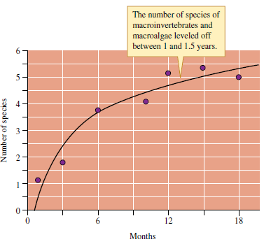 Would you expect the number of species to remain indefinitely at the level shown in figure 20.7 Space on large stable boulders in Sousa's study site is dominated by the algal G.canaliculata and support 2.3 to 3.5 species, not the 5 shown in figure 20.7. Explain. (Hint: How long did Sousa follow his study boulders ) Figure 20.7 Succession in number of macroinvertebrate and macroalgae species on intertidal boulders (data from Sousa 1979a).